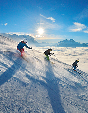 e-guma_referenzen_bergbahnenmeiringenhasliberg e-guma Best Practice Bergbahnen Meiringen Hasliberg